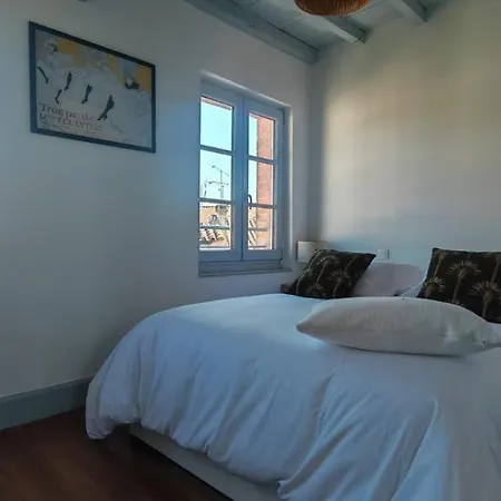 아파트 Au Balcon De Sainte-cecile 알비